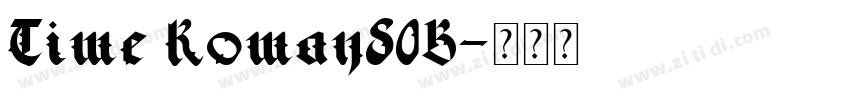 Time Roman80B字体转换